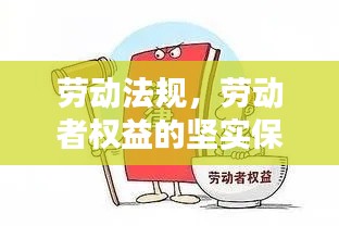 劳动法规，劳动者权益的坚实保障基石