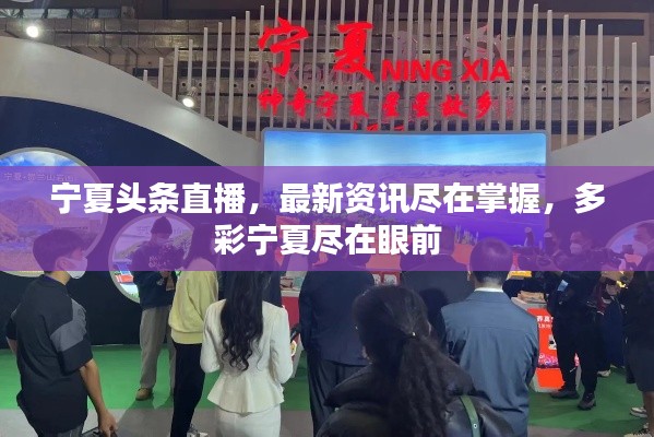 宁夏头条直播，最新资讯尽在掌握，多彩宁夏尽在眼前