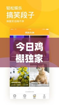 今日鸡棚独家新闻头条速递