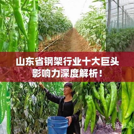 山东省钢架行业十大巨头影响力深度解析！