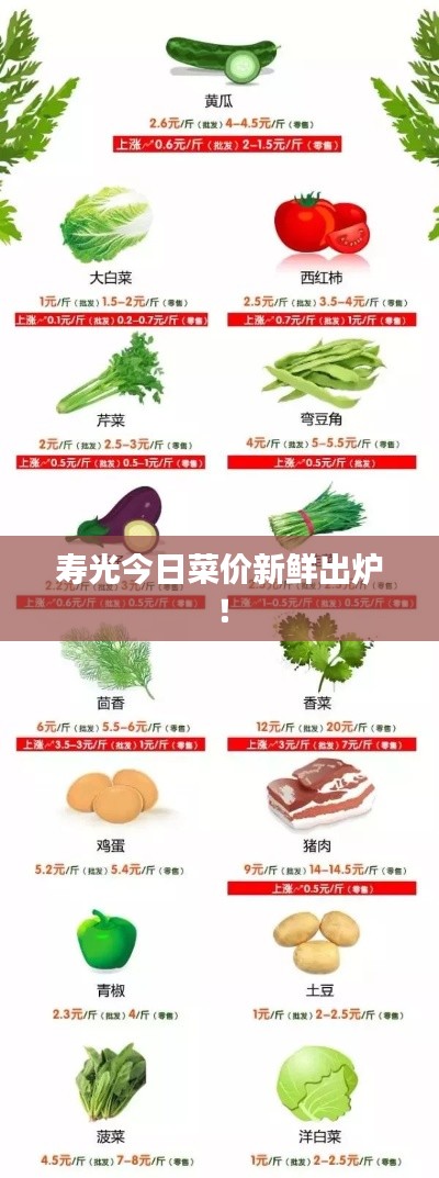寿光今日菜价新鲜出炉！