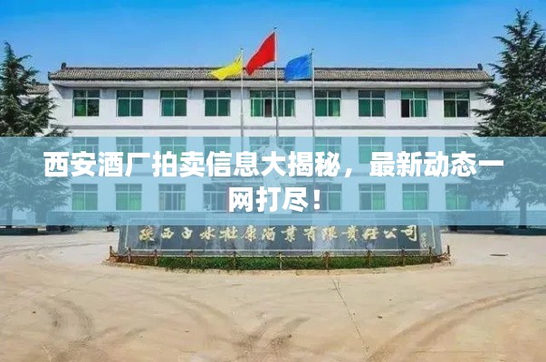 西安酒厂拍卖信息大揭秘，最新动态一网打尽！