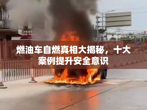 燃油车自燃真相大揭秘，十大案例提升安全意识