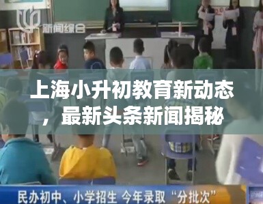 上海小升初教育新动态，最新头条新闻揭秘