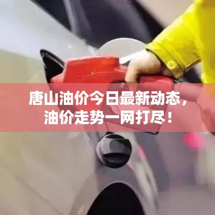 贵极人臣 第2页