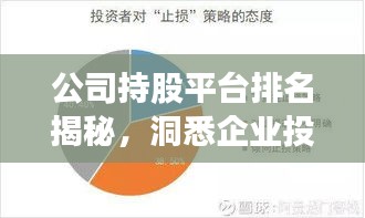 公司持股平台排名揭秘，洞悉企业投资力量的分布与较量