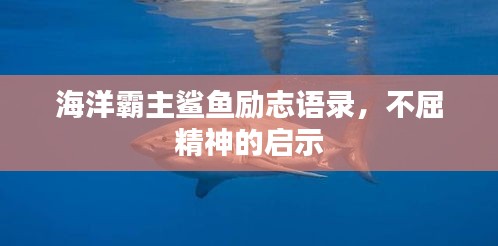 贵人多忘事