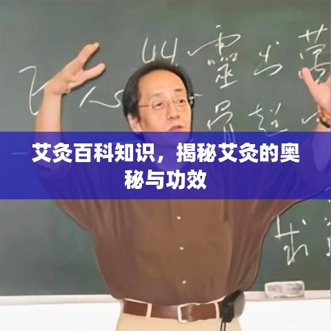 2025年5月25日