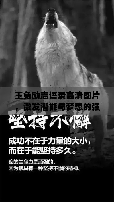 敷衍了事