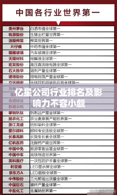 亿星公司行业排名及影响力不容小觑