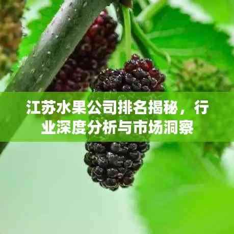 江苏水果公司排名揭秘,行业深度分析与市场洞察