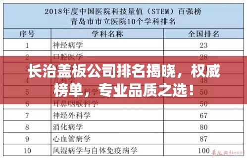 长治盖板公司排名揭晓，权威榜单，专业品质之选！