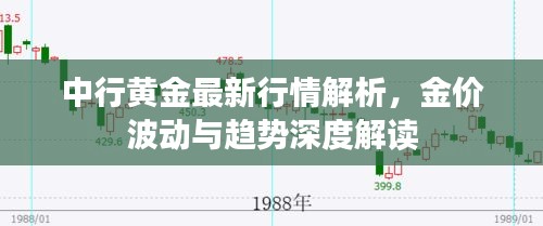 中行黄金最新行情解析，金价波动与趋势深度解读