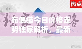 布偶猫今日价格走势独家解析，最新动态一网打尽！