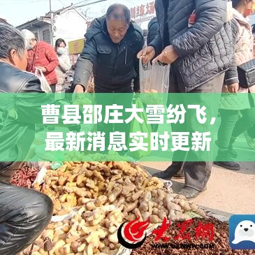 曹县邵庄大雪纷飞，最新消息实时更新