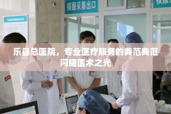 乐县总医院，专业医疗服务的典范典范闪耀医术之光