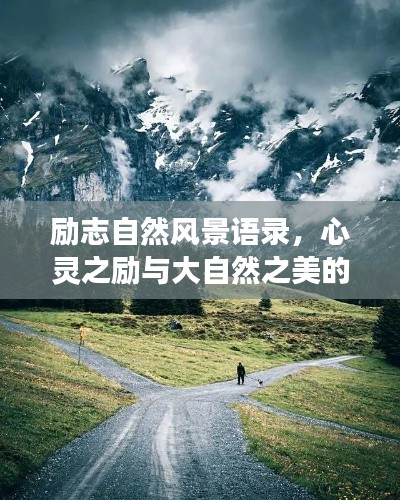 眉清目秀