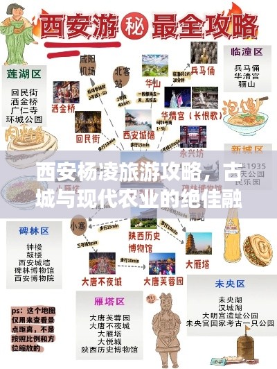 熊经鸟伸
