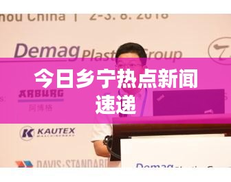 豪门贵胄